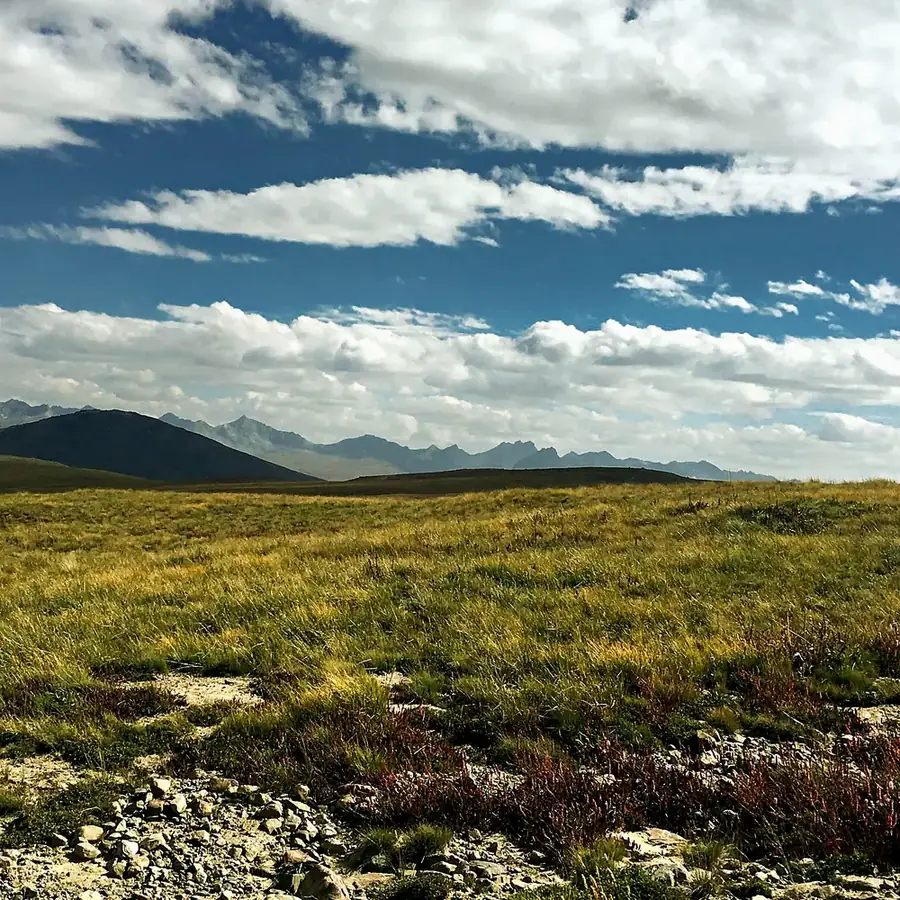 The rolling grasslands of Deosai under big clouds
