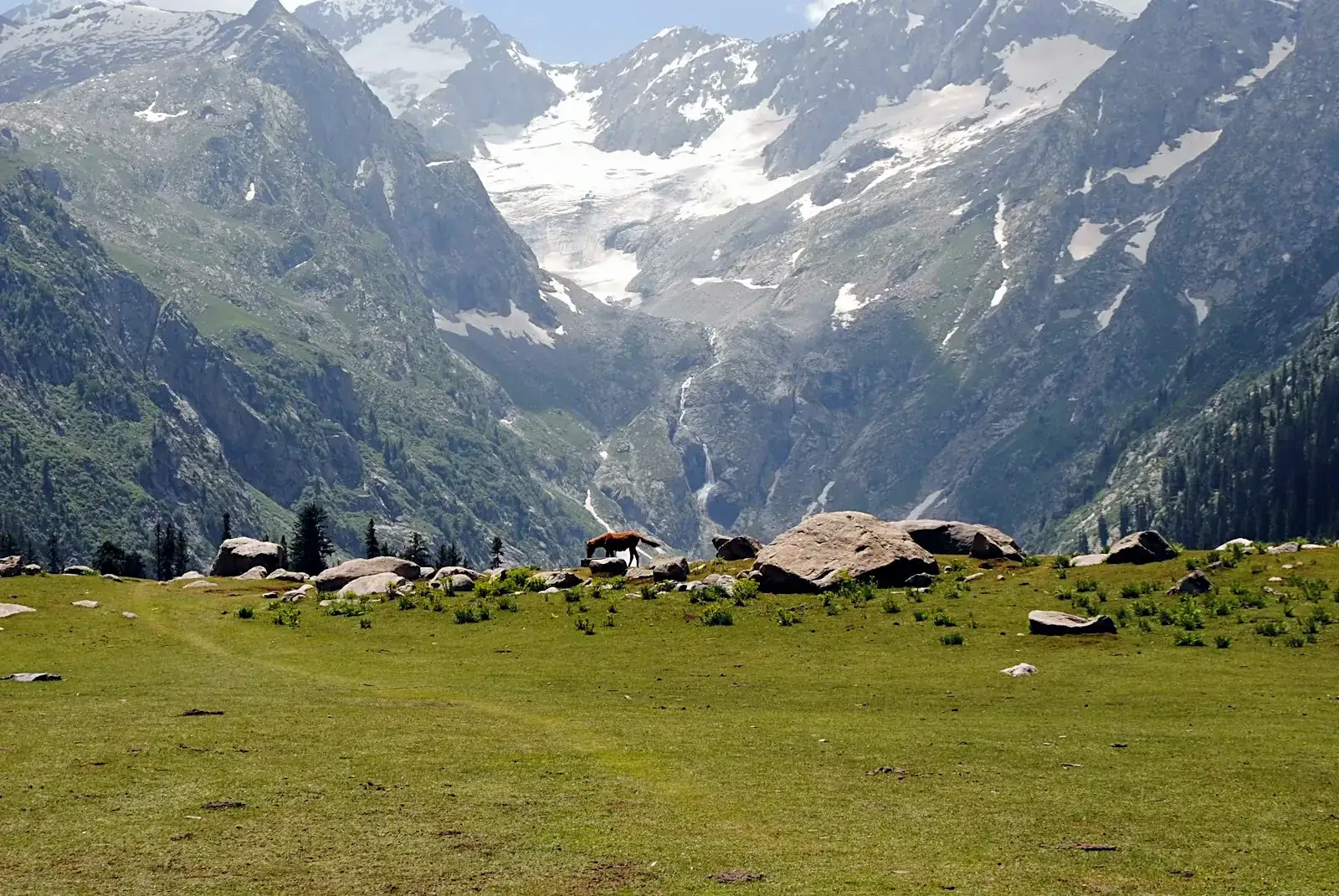 Green meadow and glacier river in the Swat valley